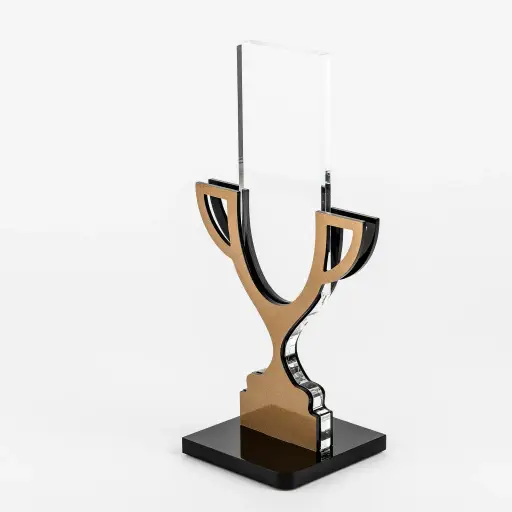 تندیس افتخار طرح کاپ قهرمانی TH_53591 برنز 3