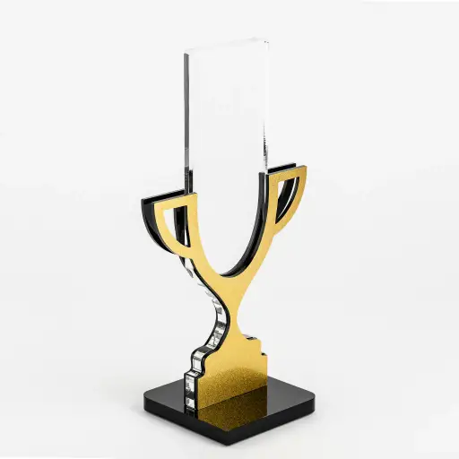 تندیس افتخار طرح کاپ قهرمانی TH_53591 طلا 1