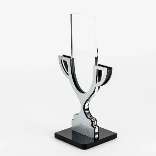 تندیس افتخار طرح کاپ قهرمانی TH_53591 نقره 2