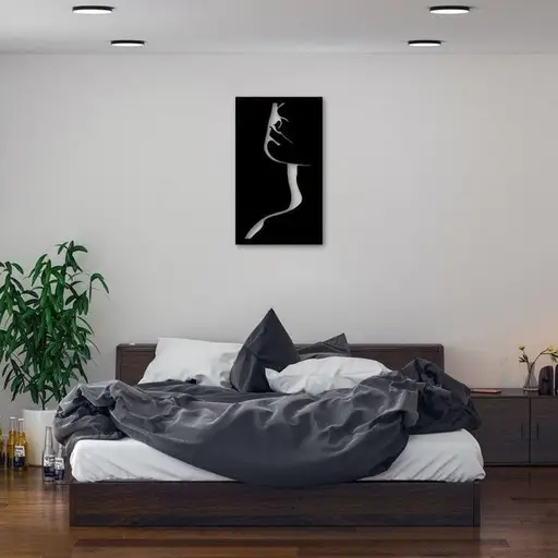 تابلو دیواری طرح سایه مدل TH_73864