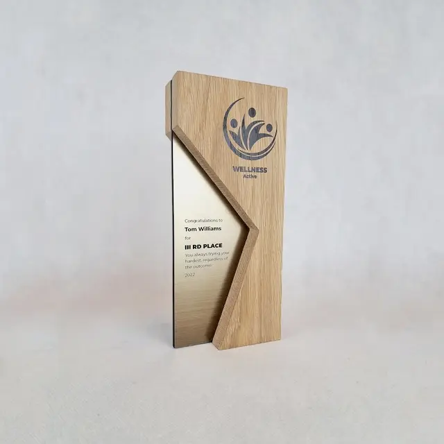 تندیس افتخار مدل TH_63788