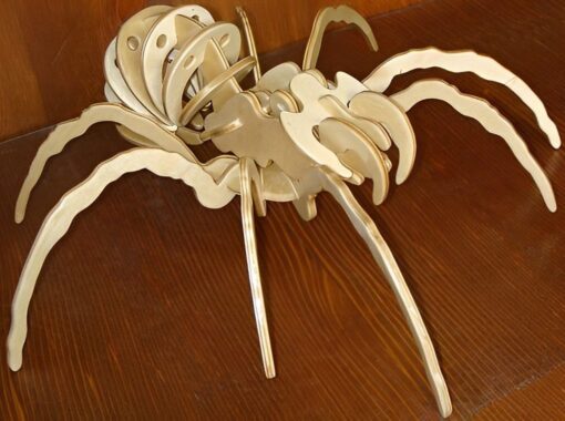 ماکت عنکبوت سه بعدی مدل TH_36986 5446775
